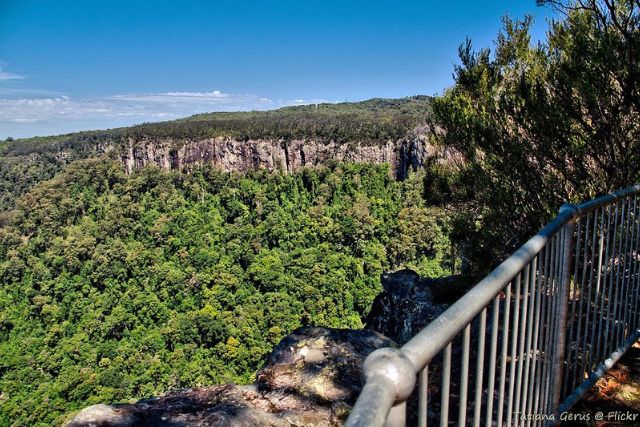 Visit Springbrook National Park